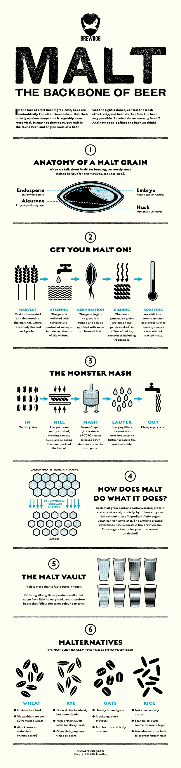 infographic-malt-the-backbone-of-beer